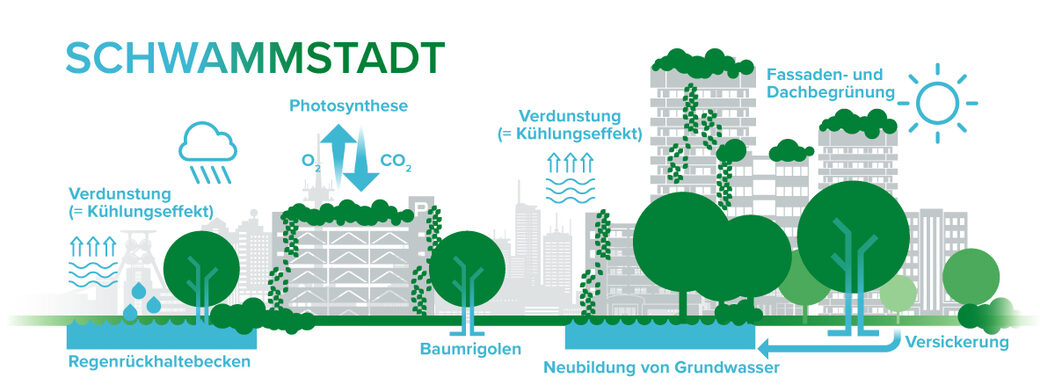 Infografik Schwammstadt