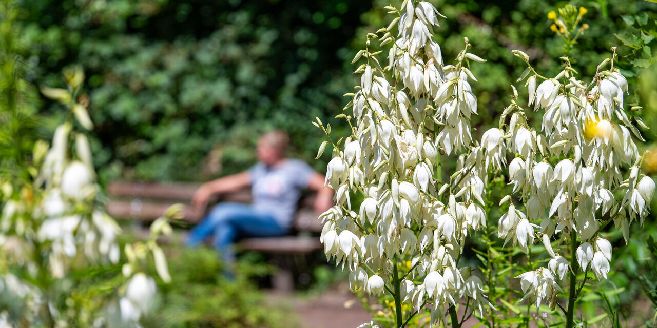 Botanischer Garten in Hamborn
