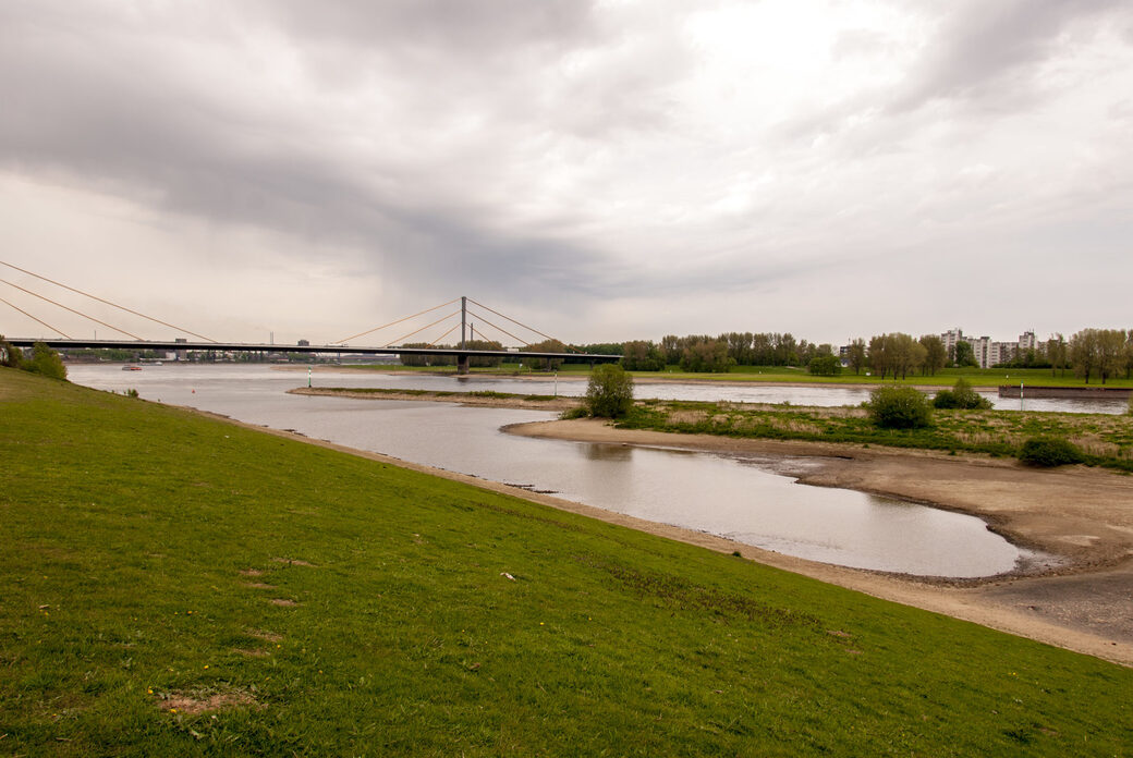 Ehemaliges Hafenbecken mit Blick auf Rhein und Brücke