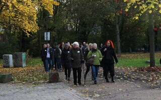 Spaziergang Hochfeld