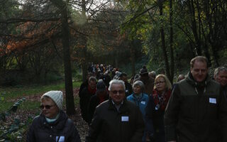Spaziergang Hochfeld