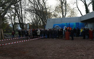 Spaziergang Hochfeld