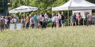 Spaziergang 9.7.2017