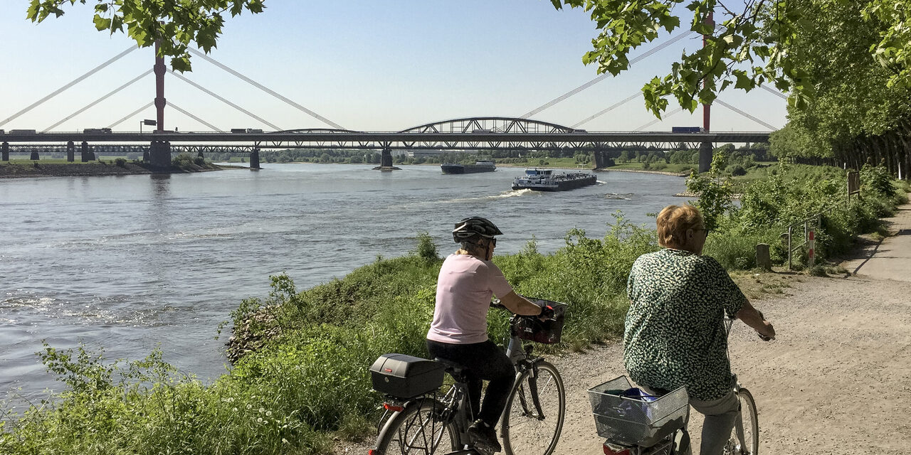 Älterer Mann und ältere Frau fahren mit dem Fahrrad am Rhein entlang