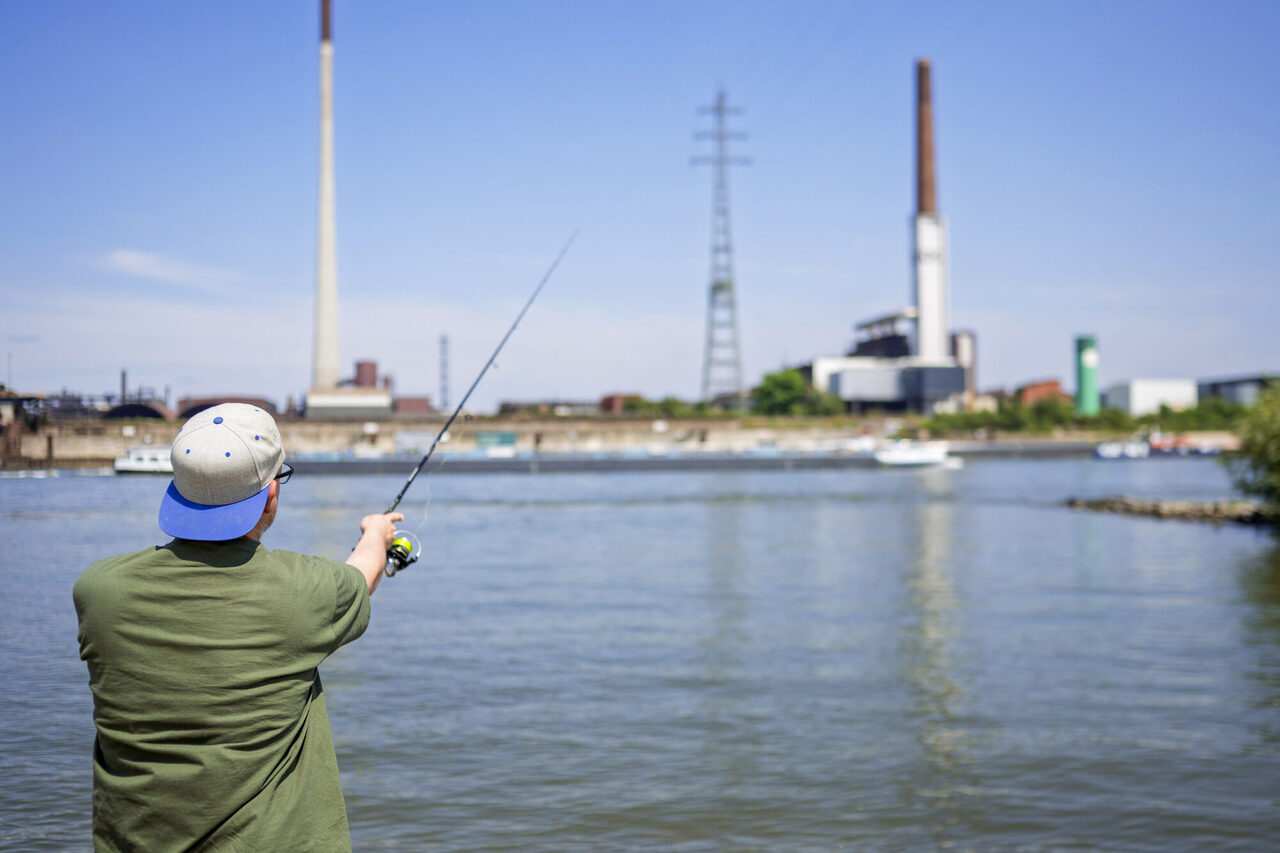 Industriekulisse und Natur - in Duisburg trifft beides aufeinander.
