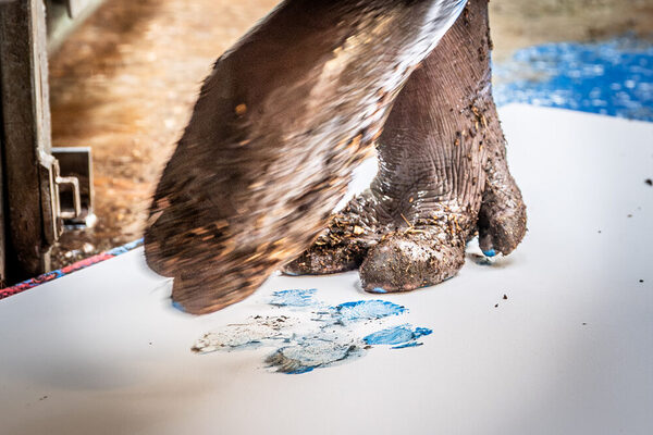 Hier sitzt jeder Fußabdruck.