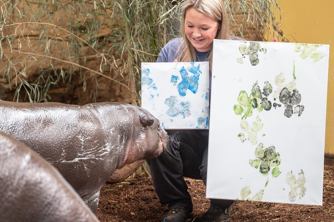 Ja, der Künstler ist zufrieden mit seinem Gemälde.