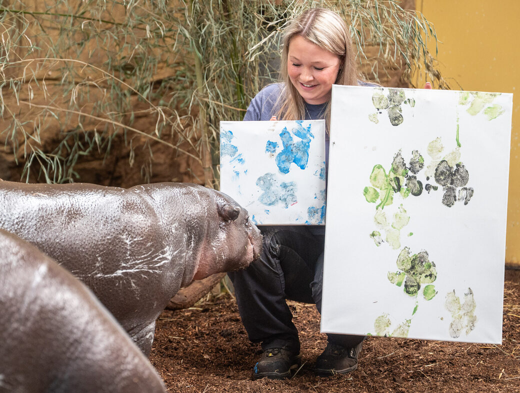 Ja, der Künstler ist zufrieden mit seinem Gemälde.