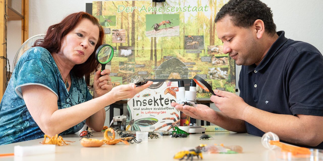 Julia Rombeck und Johannes Schwabroh schauen bei Insekten ganz genau hin und vermitteln ihr Fachwissen.