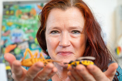 Julia Rombeck "hält" aber nicht nur lebende Insekten. Auch Kunststoffmodelle bevölkern als Anschuungsmaterial ihren Schreibtisch.