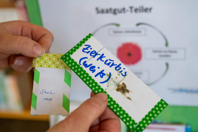 Tausche Zierkürbis gegen Stockrose - das ist das Prinzip des Samentauschs.
