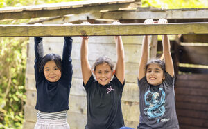 Abhängen ist hier wörtlich zu nehmen.