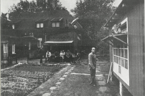 In den Gärten hielten früher viele Bergleute Brieftauben