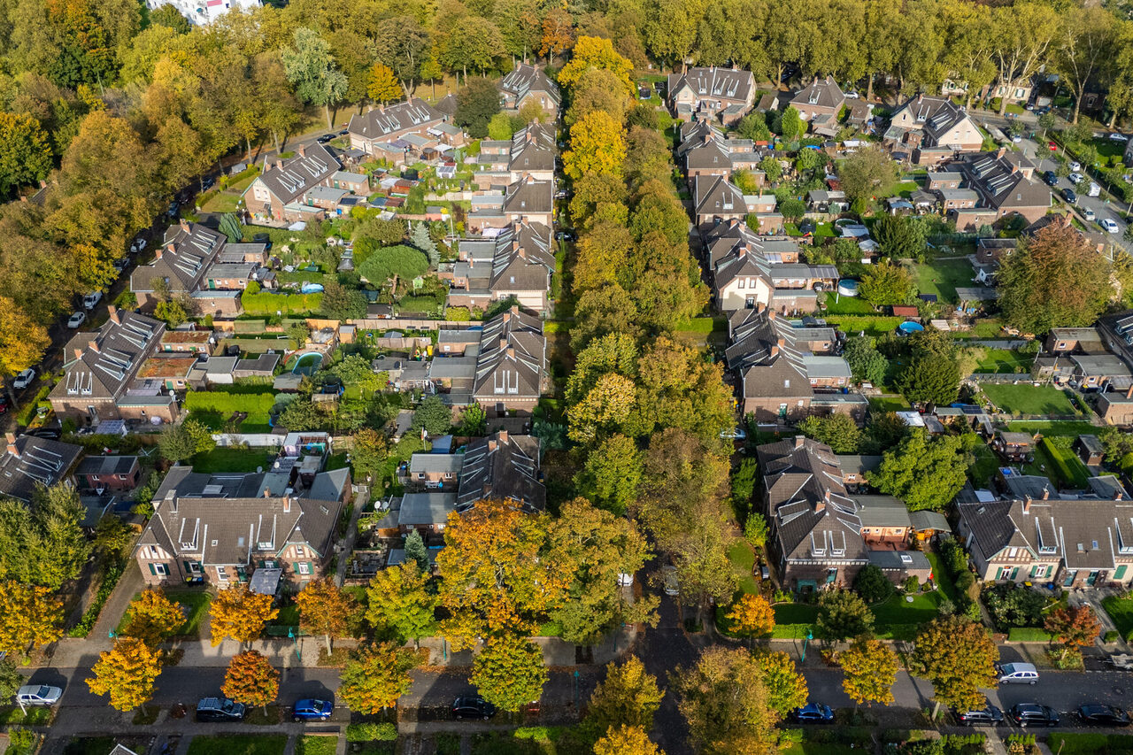 Umsäumt von großen Bäumen ist die Siedlung Rheinpreußen ein grüne Oase westlich des Rheins