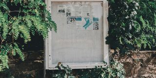 Informationstafel im Wald