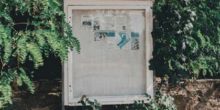 Informationstafel im Wald