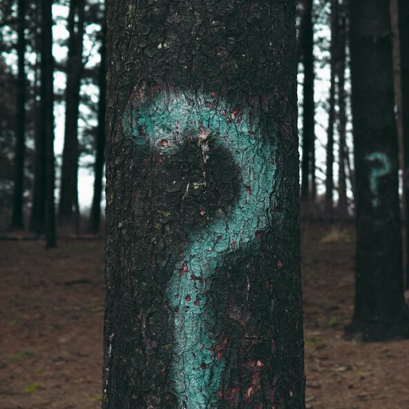 Fragezeichen auf Bäumen