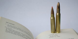 Stehende Patronen auf dem Gesetz