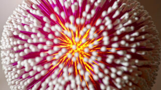 Ulrike Waltemathe,Mikrobio-Kunst aus Wattestäbchen