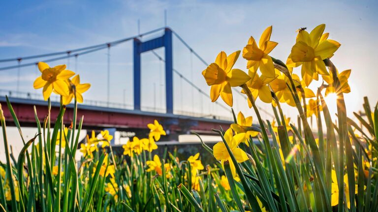 Frühling Ruhrort