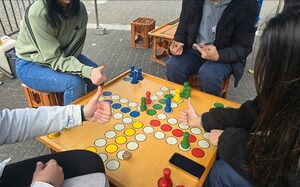 Mensch ärgere dich nicht Spiel