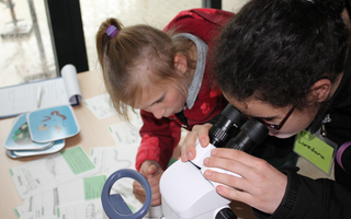 Schülerinnen vor einem Mikroskop