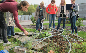 Sperrmüll auf einer Wiese