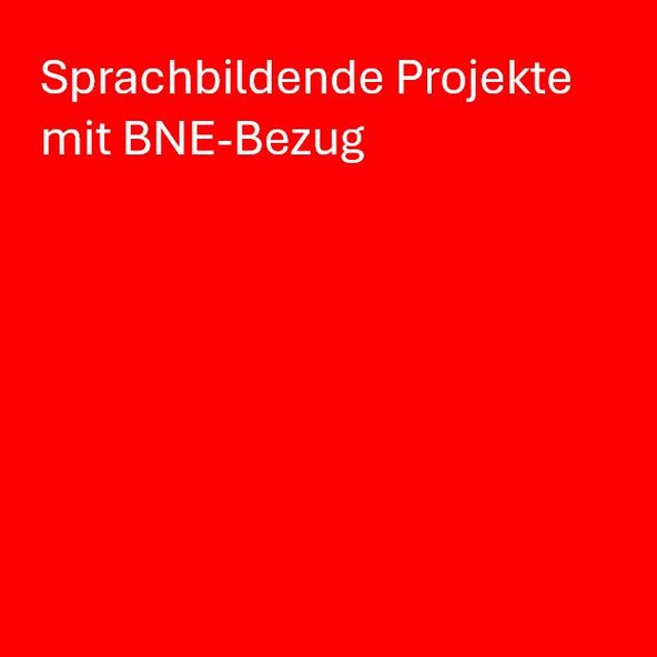 Sprachbildende Projekte mit BNE-Bezug