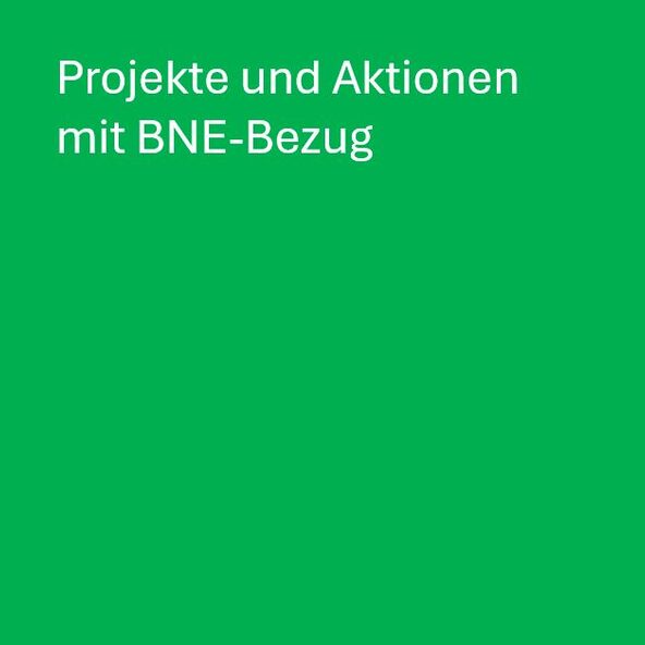 Die Sekundarschule am Biegerpark hat viele Projekte und Aktionen mit BNE-Bezug. Ansprechperson ist Herr Posern.