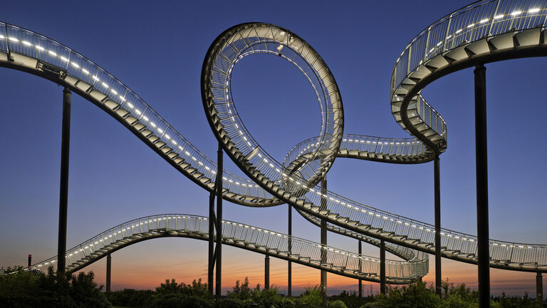 Tiger and Turtle