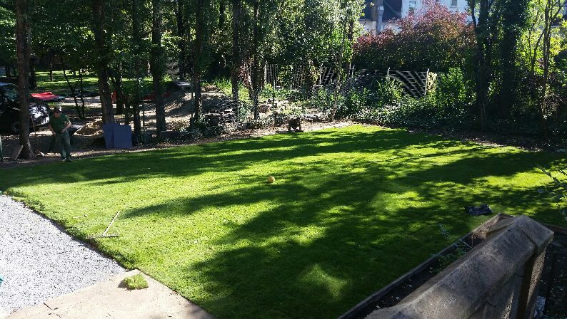 Eine schön gestaltete Gartenfläche mit Rasen.