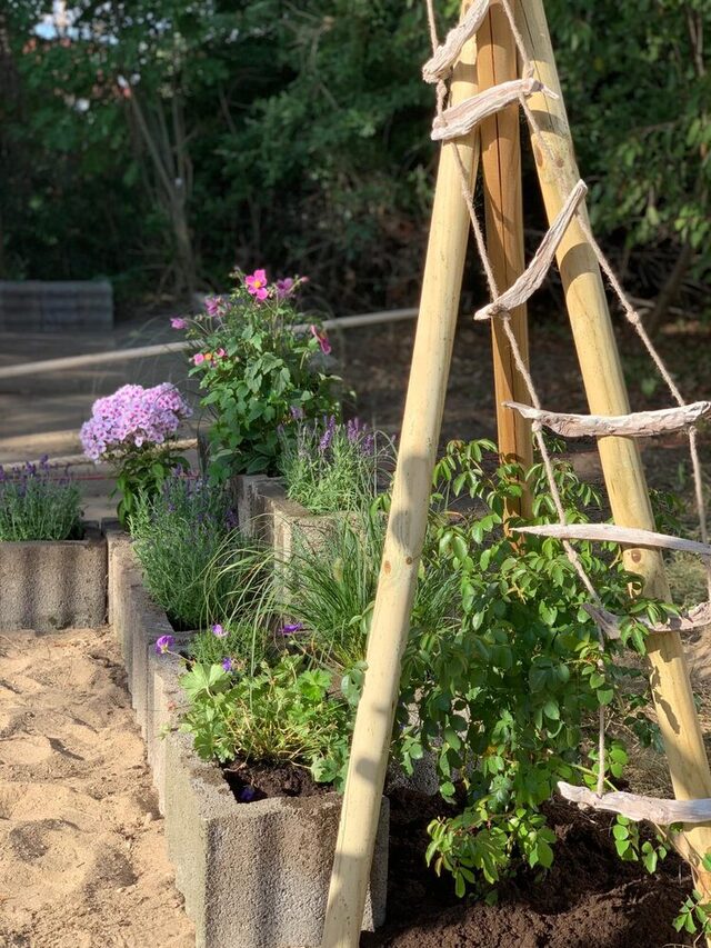 Neue Pflanzen für die Außenanlage