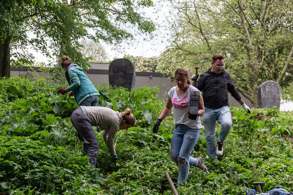 Fleißige Helferinnen und Helfer bei Pflegearbeiten