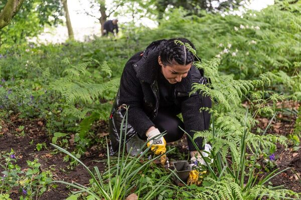 Eine Mitarbeiterin setzt eine neue Staude ein