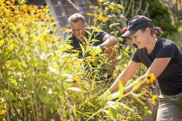 Mitarbeitende bei der Beetpflege