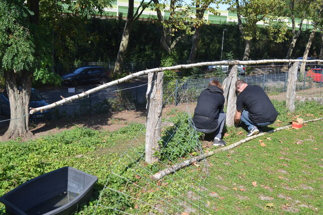 Mitarbeiter reparieren den Weidezaun
