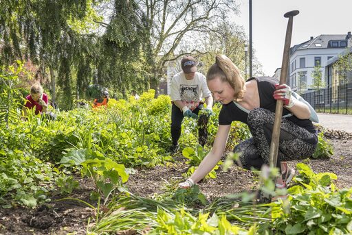 Mitarbeiterinnen und Mitarbeiter jäten Unkraut