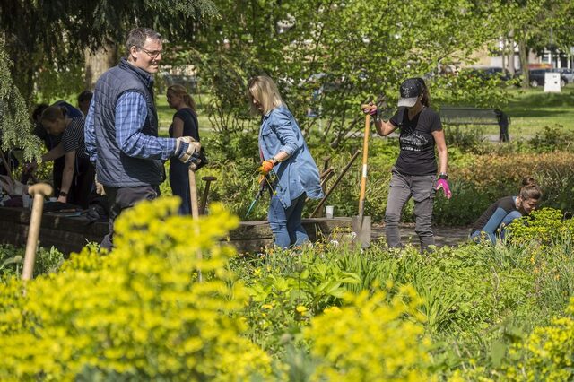 Mitarbeiterinnen und Mitarbeiter bei er Beetpflege