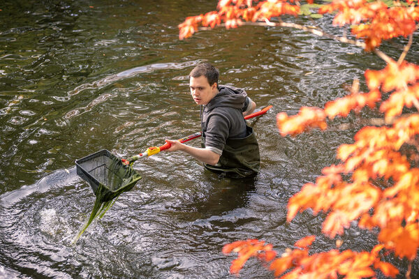 Mit Wathose und Kescher in der Teichanlage