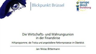 Die Wirtschafts- und Währungsunion in der Finanzkrise