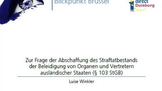 Zur Frage der Abschaffung des Straftatbestands der Beleidigung von Organen und Vertretern ausländischer Staaten (§ 103 StGB)