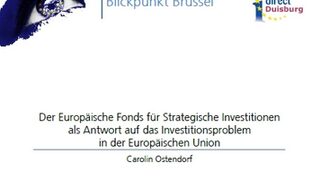 Der Europäische Fonds für Strategische Investitionen als Antwort auf das Investitionsproblem in der Europäischen Union