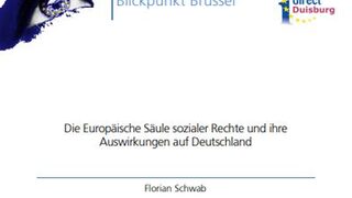 Die Europäische Säule sozialer Rechte und ihre Auswirkungen auf Deutschland
