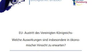 EU- Austritt des Vereinigten Königreichs - Welche Auswirkungen sind insbesondere in ökonomischer Hinsicht zu erwarten?