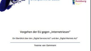 Vorgehen der EU gegen Internetriesen
