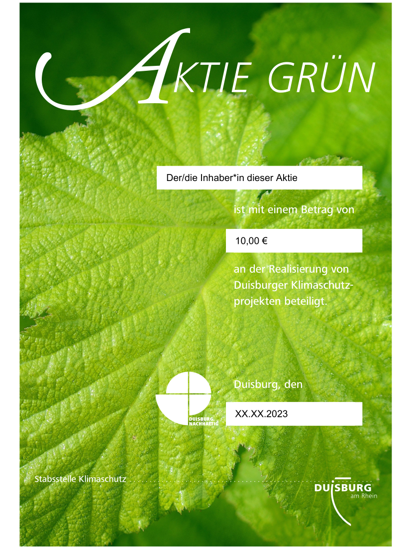 Abbildung der Aktie Grün