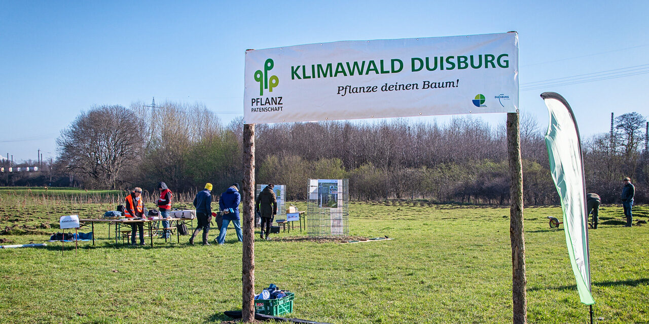 Eingang Klimawald