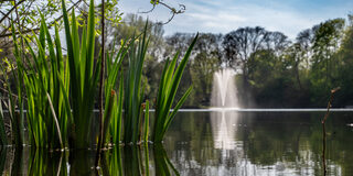 Blick auf den Binsenteich in Rumeln