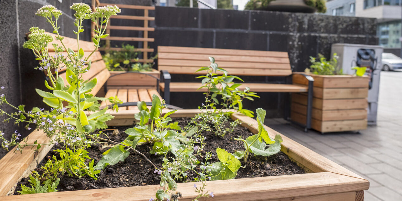Handy zur Eingabe von Klimaschutzideen oder zum ansehen des Video-Formats "Die Grüne Bank"
