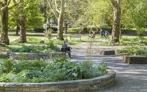 Kantpark Bäume und Beete